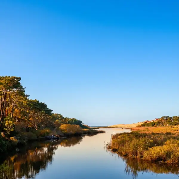 Le courant de Contis en été